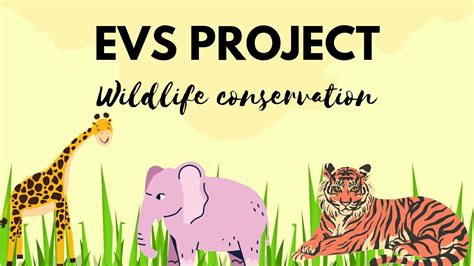 EVS PROJECT| BOARD PROJECT|WILDLIFE CONSERVATION|ICSE CLASS 10 ...