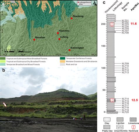 Miocene Lufengpithecus distribution and geological data for the ...