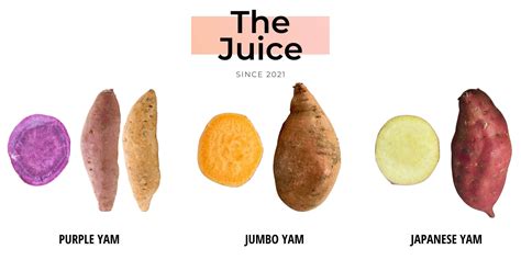 Three Most Common Yam Varieties | Purvey'd