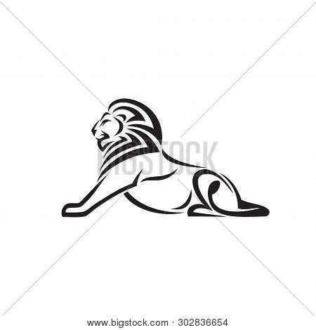 Lion Lying Down Vector & Photo (Free Trial) | Bigstock