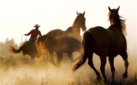 Western Cowboy Wallpaper (70+ images)