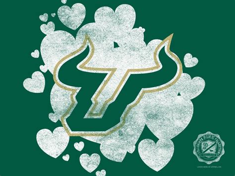 USF Wallpapers - Wallpaper Cave