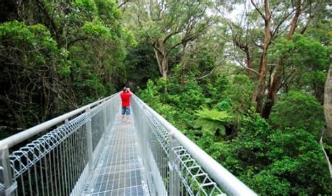 Shoalhaven Heads | Attractions