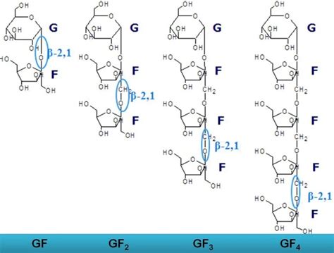 What is FOS (Fructooligosaccharides)?