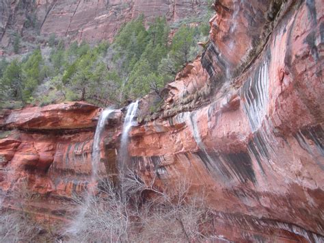 Alicia: Camping & hiking in beautiful Zions National Park!