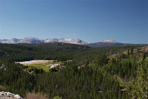 Shoshone National Forest Photograph by Terence Gandy