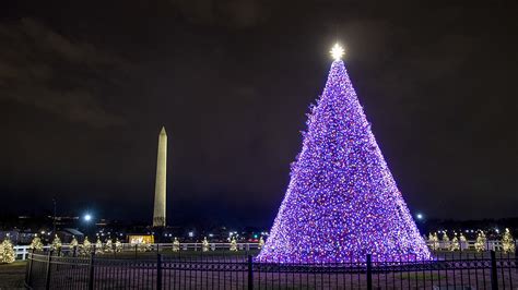 The History Of The National Christmas Tree Explained