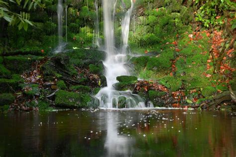 This is what you can expect when you find Tillingbourne Waterfall in the Surrey Hills - Surrey Live