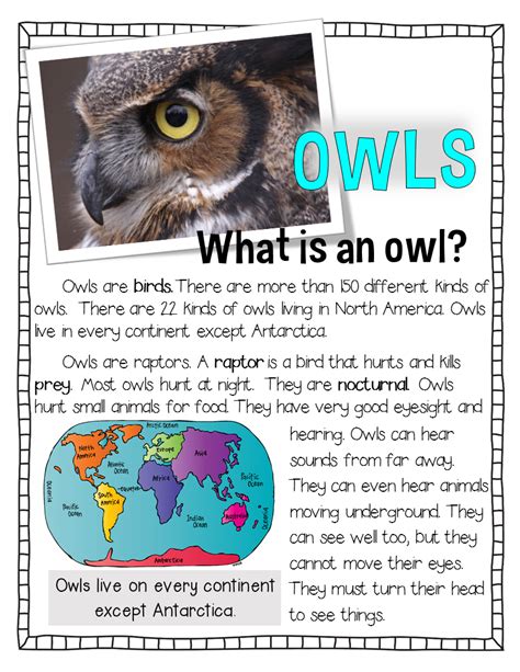 Owls All About Owls | Owl facts for kids, Owl activities, Owl facts