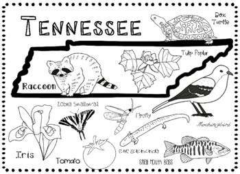 Tennessee's State Symbols by Connecting with Social Studies | TpT