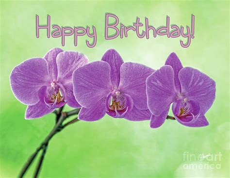 Happy Birthday Orchids