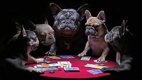 The Story Behind the “Dogs Playing Poker” Painting – BetMGM