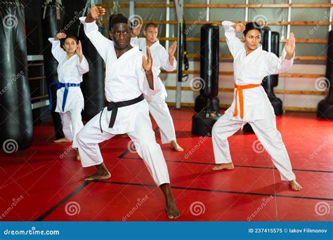 Karate or Taekwondo Training - Athletes in Kimono Stand in Fighting Stance Stock Image - Image ...