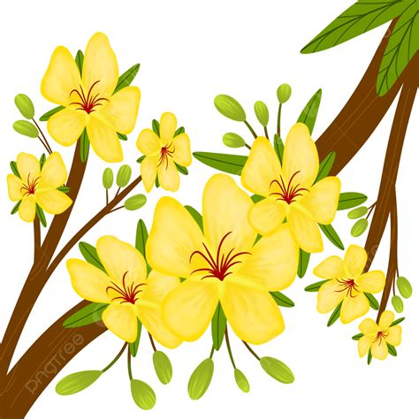 Apricot Blossom Yellow PNG Image, Yellow Apricot Blossoms, Yellow ...