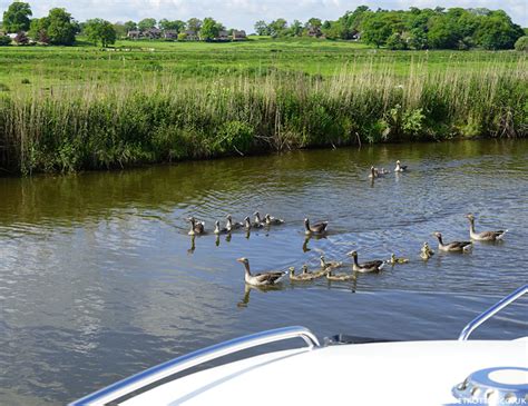 Boating Holiday on The Norfolk Broads with Herbert Woods | Luxury Boat Hire on the Norfolk ...