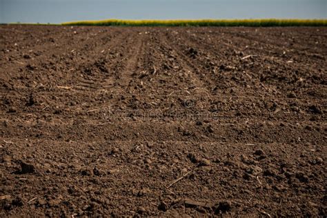 Dirt texture stock photo. Image of texture, garden, soil - 12611254