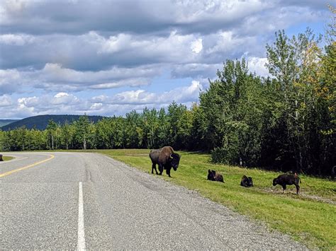 Visualizing 36 Hours on the Alcan Highway | by Katherine Mello ...