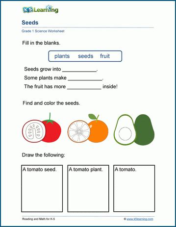 Grade 1 Science Worksheets | K5 Learning