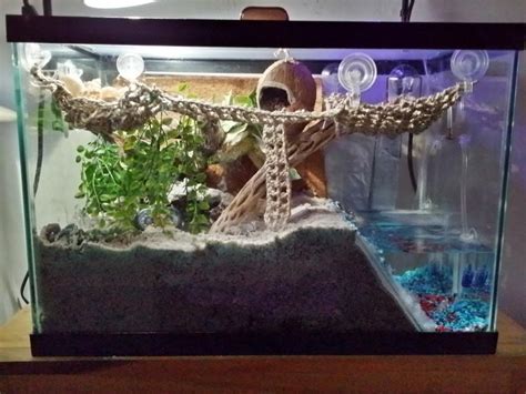 hermit crab tank setup ideas - Google Search | Aquariums | Pinterest | Google search, Google and ...