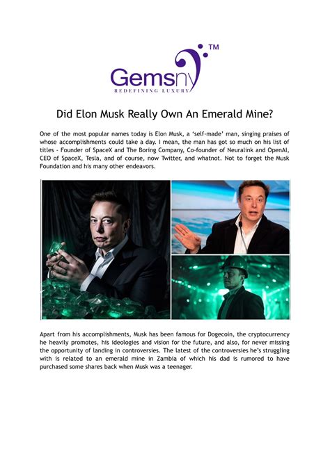 PPT - Elon Musk's Alleged Emerald Mine Ownership: Fact or Fiction ...