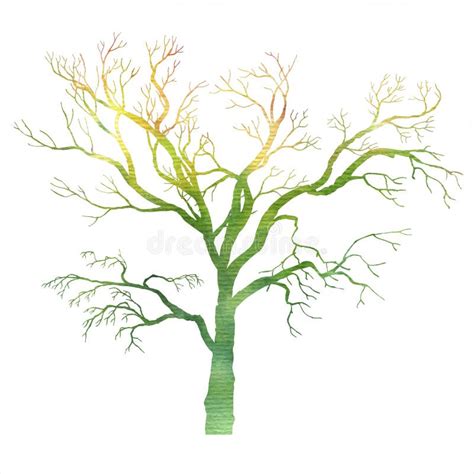 Watercolor tree silhouette stock illustration. Illustration of deciduous - 79678804