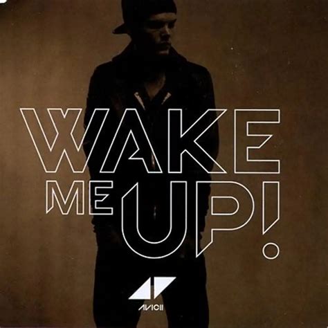 avicii - wake me up! house electro trance pop dance - Disco Più