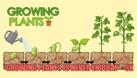 Plants Grow GIFs - Get the best GIF on GIPHY