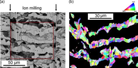 a) SEM image depicting the area that was treated by ion milling. The... | Download Scientific ...