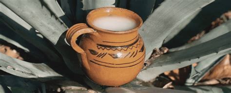 What Is Pulque? 🌵 What Does It Taste Like? – Flaviar