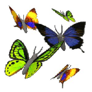 Animated Butterfly Image Collection at Best Animations | Butterfly gif, Butterfly photos ...