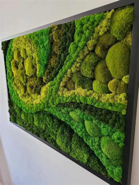 Moss Wall Art. Moss Wall. Greenwall. Moss Frame. Preserved Moss. Moss Art. Moss Wall Art, Nature ...