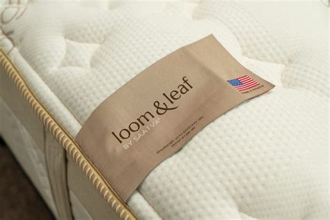 Bear vs. Loom & Leaf: Memory Foam Mattress Review and Comparison ...