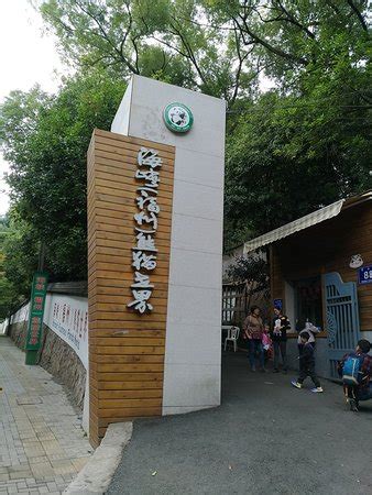 Panda World (Fuzhou) - All You Need to Know Before You Go (with Photos ...