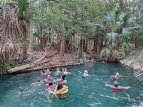 Night swim at Mataranka Hot Springs – This Travel Life