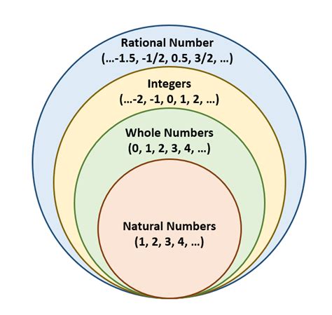 Whole Numbers Examples