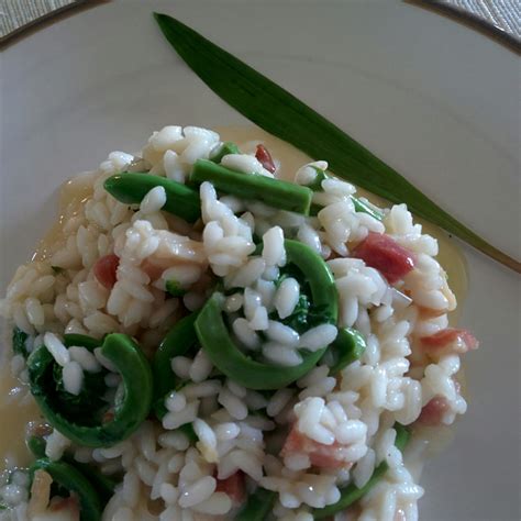 Wild Leek and Fiddlehead Risotto