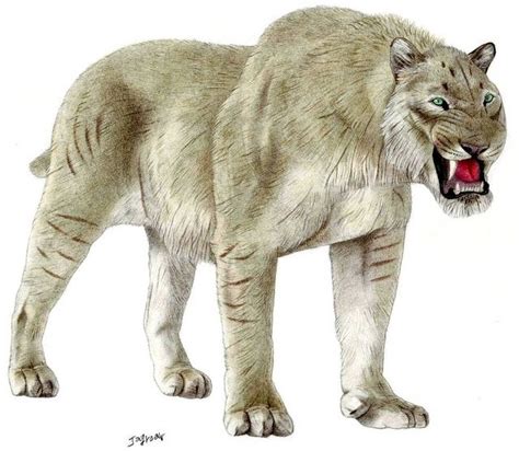 Scimitar Cats Homotherium sp. Extinct | North European Scimitar toothed ...