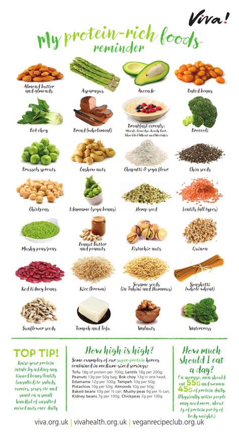 Protein-rich foods wallchart - Resources | Viva! Health