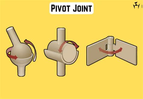 Pivot Joint Definition, Components, Assembly, Pros, Cons & Apps [PDF ...