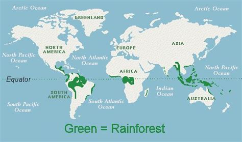 worlds tropical rainforest | The World's Tropical Rainforests ...