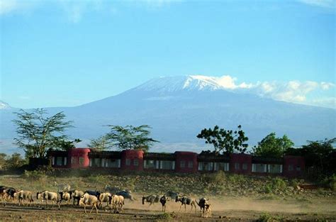 Images of Amboseli Serena Safari Lodge | Kenya African Safari (Overview)