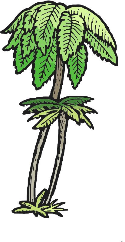 Punga Tree Fern - Openclipart