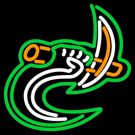 NCAA Charlotte 49ers Mascot Logo Neon Sign and 50 similar items