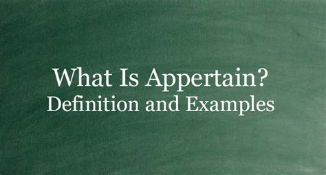 What Is Appertain? Definition And Usage Of This Term