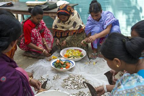 Fish Diversity and Fish Consumption in Bangladesh: Biodiversity for ...