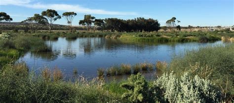 Wetland walking in Adelaide’s south - Good Living