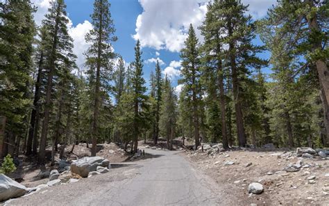 Coldwater Campground - Mammoth Lakes, California - 395 Guide