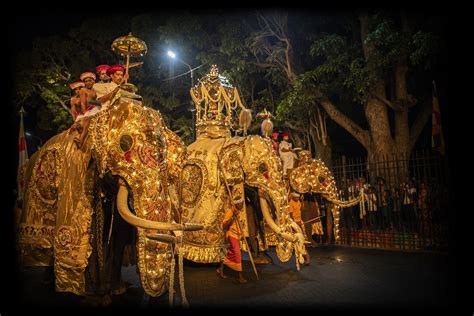 A Unique Experience of the Kandy Perahera | Blue Lanka Tours