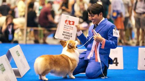 A Dog From the Philippines Has Won at the World Dog Show 2023