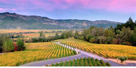 One Week in Sonoma and Napa Valleys - 7 Day Itinerary